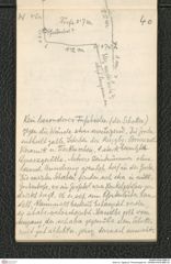 Seite 42, Tagebuch "Perschlingtal etc." (NHMW-PRAE-BBB-30)